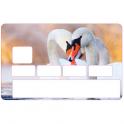 Autocollant Cygne numéro 34 carte bleue carte bancaire CB adhésif sticker logo 34