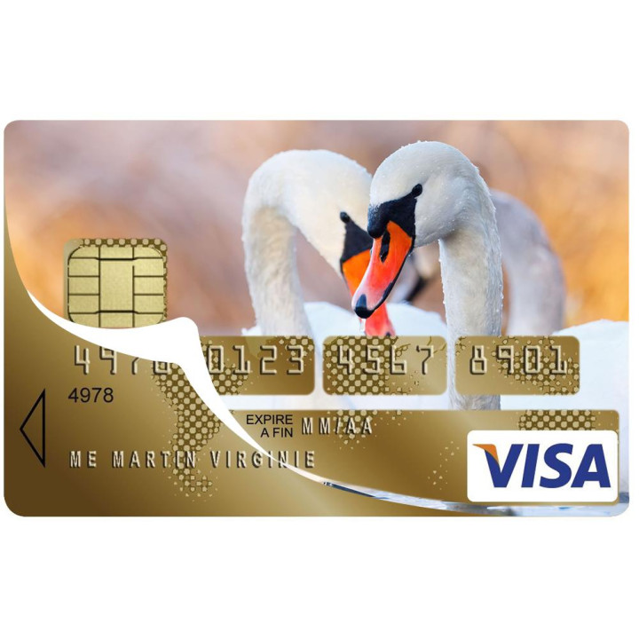 Autocollant Cygne numéro 34 carte bleue carte bancaire CB adhésif sticker logo 34