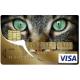 Autocollant Chatte2 numéro 38 carte bleue carte bancaire CB adhésif sticker logo 38