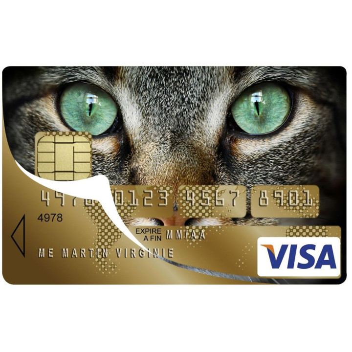 Autocollant Chatte2 numéro 38 carte bleue carte bancaire CB adhésif sticker logo 38