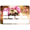 Autocollant Chien numéro 41 carte bleue carte bancaire CB adhésif sticker logo 41