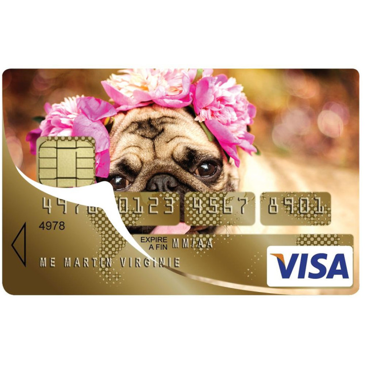 Autocollant Chien numéro 41 carte bleue carte bancaire CB adhésif sticker logo 41