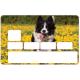 Autocollant Chien2 numéro 42 carte bleue carte bancaire CB adhésif sticker logo 42