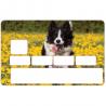Autocollant Chien2 numéro 42 carte bleue carte bancaire CB adhésif sticker logo 42