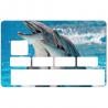 Autocollant Dauphins numéro 47 carte bleue carte bancaire CB adhésif sticker logo 47