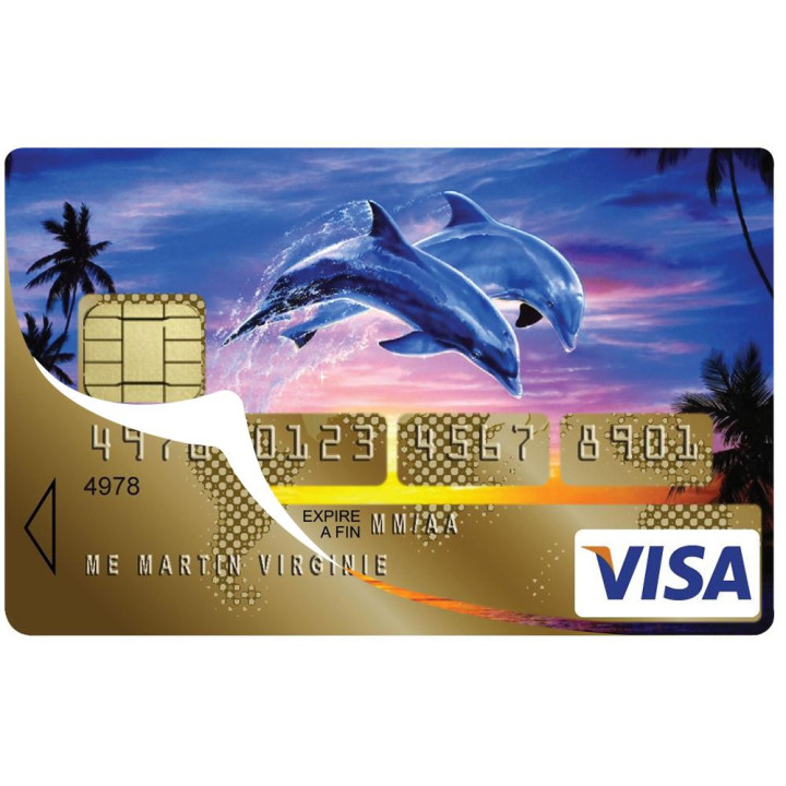 Autocollant Dauphins2 numéro 48 carte bleue carte bancaire CB adhésif sticker logo 48