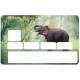 Autocollant Éléphant numéro 55 carte bleue carte bancaire CB adhésif sticker logo 55