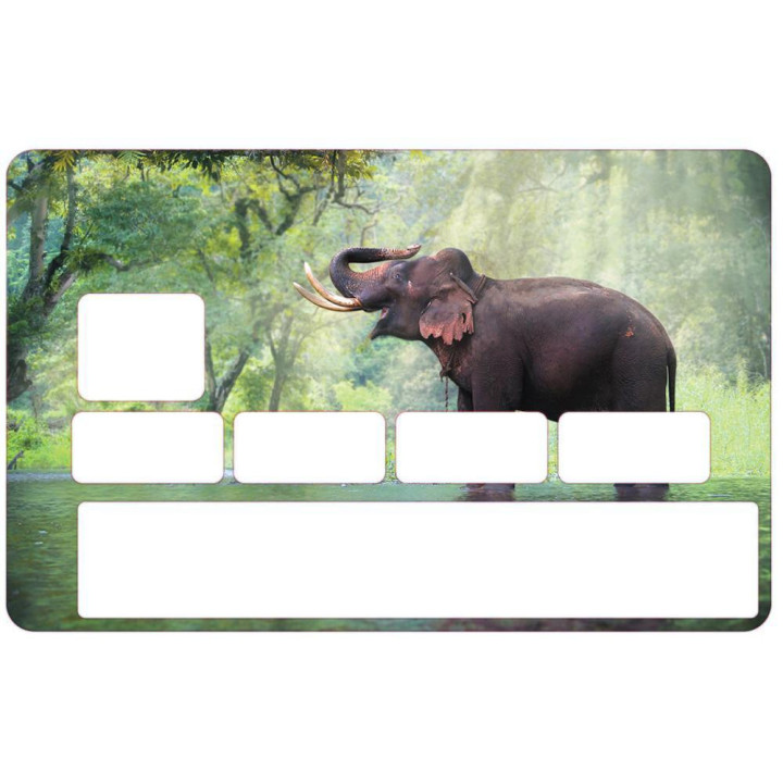 Autocollant Éléphant numéro 55 carte bleue carte bancaire CB adhésif sticker logo 55
