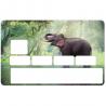 Autocollant Éléphant numéro 55 carte bleue carte bancaire CB adhésif sticker logo 55