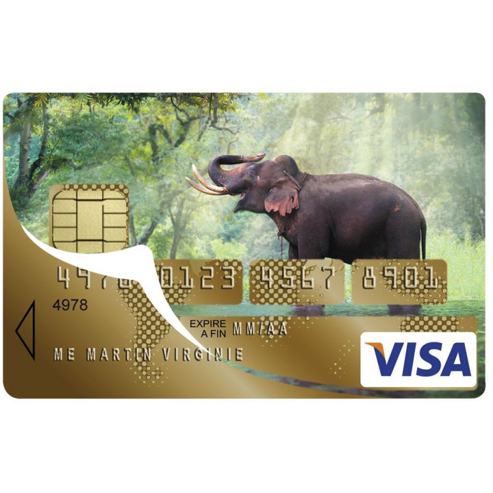 Autocollant Éléphant numéro 55 carte bleue carte bancaire CB adhésif sticker logo 55