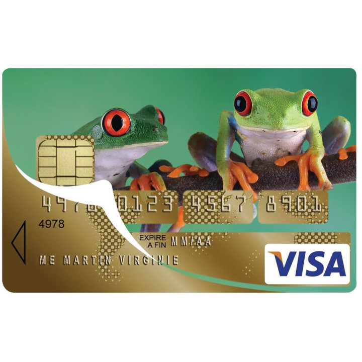 Autocollant Grenouille numéro 70 carte bleue carte bancaire CB adhésif sticker logo 70