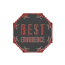 Autocollants best endurance caches moyeu pour jante auto stickers