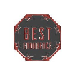 Autocollants best endurance caches moyeu pour jante auto stickers