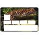 Autocollant Léopard2 numéro 95 carte bleue carte bancaire CB adhésif sticker logo 95