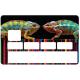 Autocollant Lézard numéro 97 carte bleue carte bancaire CB adhésif sticker logo 97