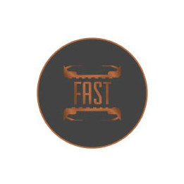 Autocollants fast caches moyeu pour jante auto stickers