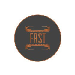 Autocollants fast caches moyeu pour jante auto stickers