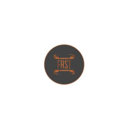 Autocollants fast caches moyeu pour jante auto stickers
