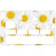 Autocollant Marguerite numéro 105 carte bleue carte bancaire CB adhésif sticker logo 105