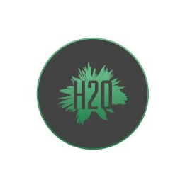 Autocollants H2O caches moyeu pour jante auto stickers