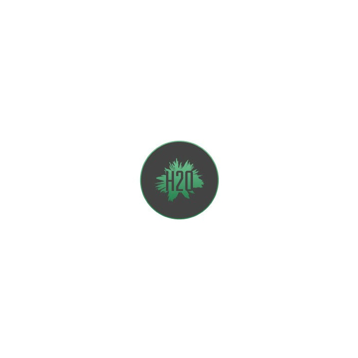 Autocollants H2O caches moyeu pour jante auto stickers