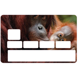 Autocollant Orangs-outans numéro 119 carte bleue carte bancaire CB adhésif sticker logo 119