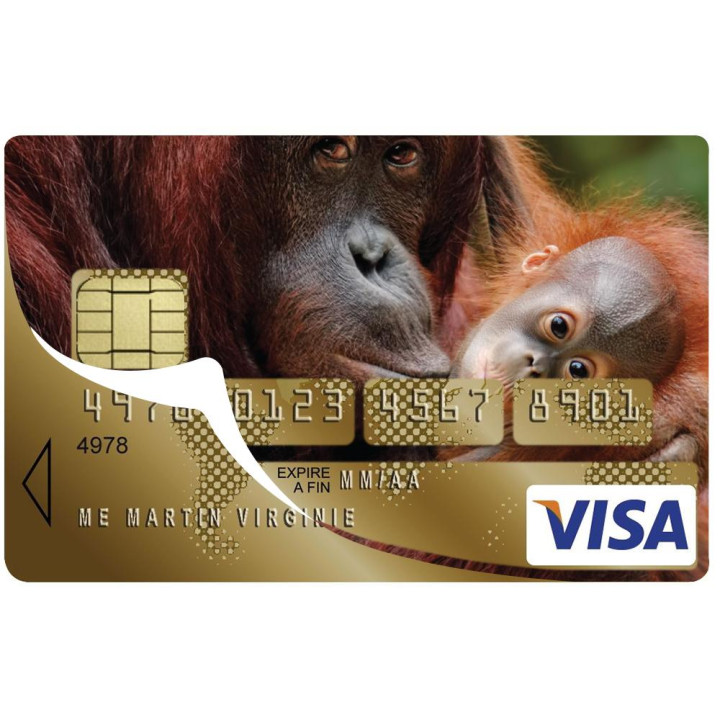 Autocollant Orangs-outans numéro 119 carte bleue carte bancaire CB adhésif sticker logo 119