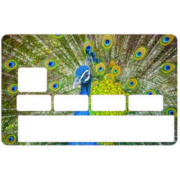 Autocollant Paon numéro 121 carte bleue carte bancaire CB adhésif sticker logo 121