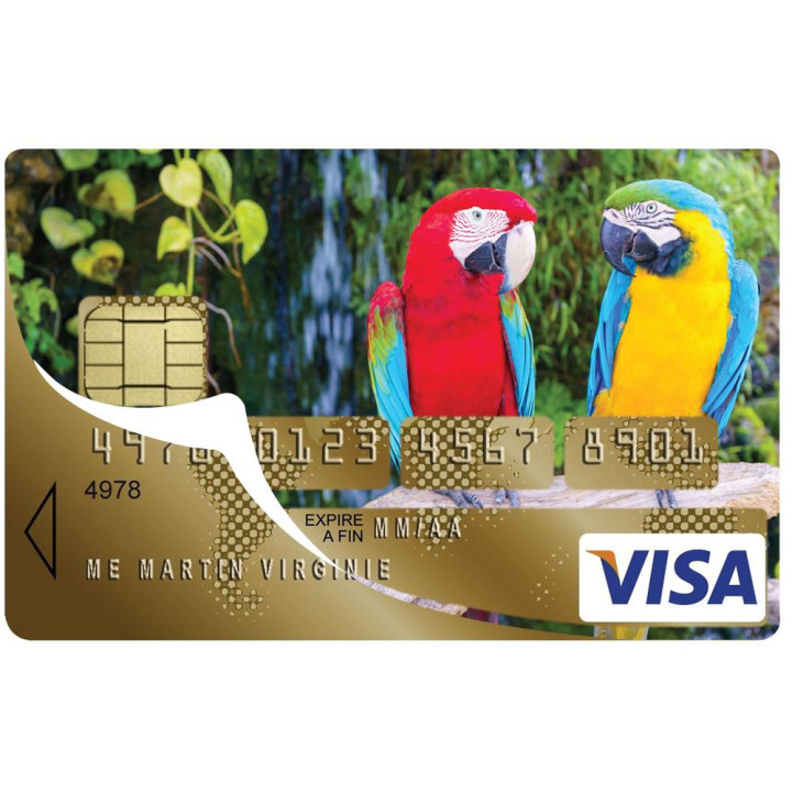 Autocollant Perroquet numéro 122 carte bleue carte bancaire CB adhésif sticker logo 122