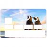 Autocollant Pingouins numéro 126 carte bleue carte bancaire CB adhésif sticker logo 126