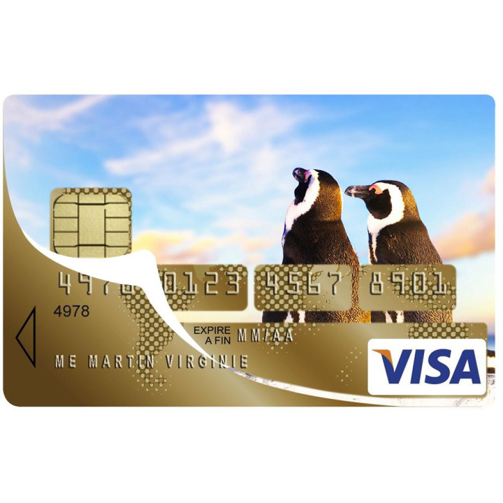 Autocollant Pingouins numéro 126 carte bleue carte bancaire CB adhésif sticker logo 126