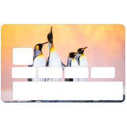 Autocollant Pingouins2 numéro 127 carte bleue carte bancaire CB adhésif sticker logo 127