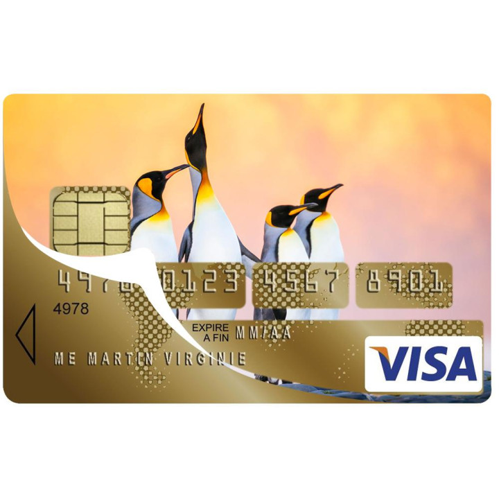 Autocollant Pingouins2 numéro 127 carte bleue carte bancaire CB adhésif sticker logo 127