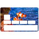 Autocollant Poisson clown numéro 131 carte bleue carte bancaire CB adhésif sticker logo 131