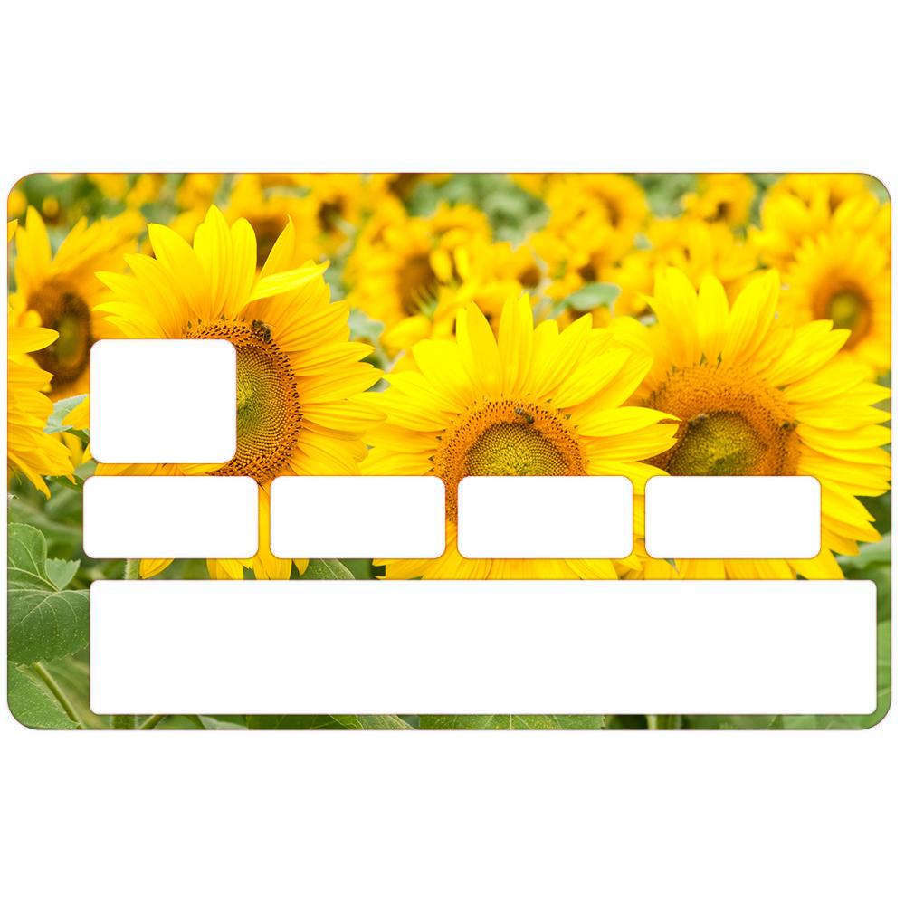 logo groland sticker adhesive sticker GRD