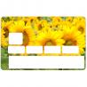 Autocollant Tournesol2 numéro 156 carte bleue carte bancaire CB adhésif sticker logo 156