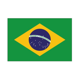Autocollant Drapeau Brazil Brésil sticker