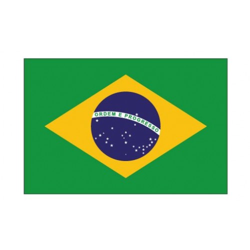 Autocollant Drapeau Brazil Brésil sticker