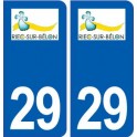 29 Riec en Belon logotipo de la etiqueta engomada de la placa de pegatinas de la ciudad