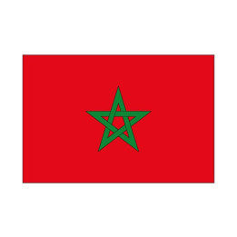 Autocollant Drapeau Morocco Maroc sticker