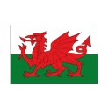 Autocollant Drapeau Wales Pays de galle sticker