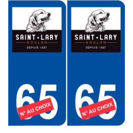 Ski france pyrénées saint lary soulan autocollant plaque sticker département au choix