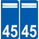 45 Briare ville logo autocollant plaque