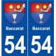 54 Baccarat blason autocollant plaque stickers ville