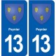 13 Peynier blason ville autocollant plaque sticker