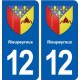 12 Rieupeyroux blason ville autocollant plaque sticker