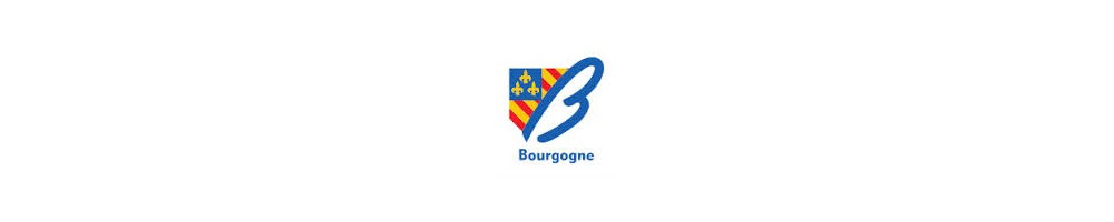 Sticker plaque immatriculation Burgundy department 21 58 71 89