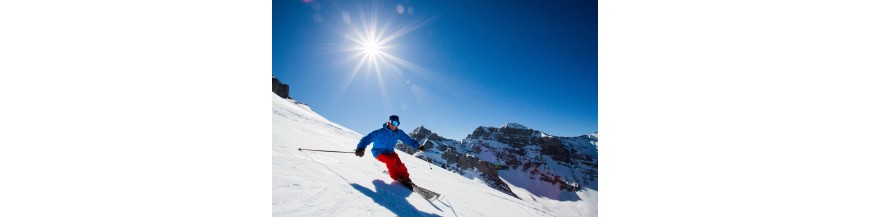 Ski france alpes Avoriaz autocollant plaque sticker département au choix 